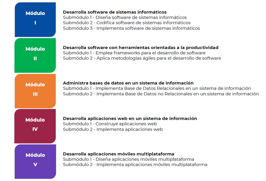 programa de estudios programacion